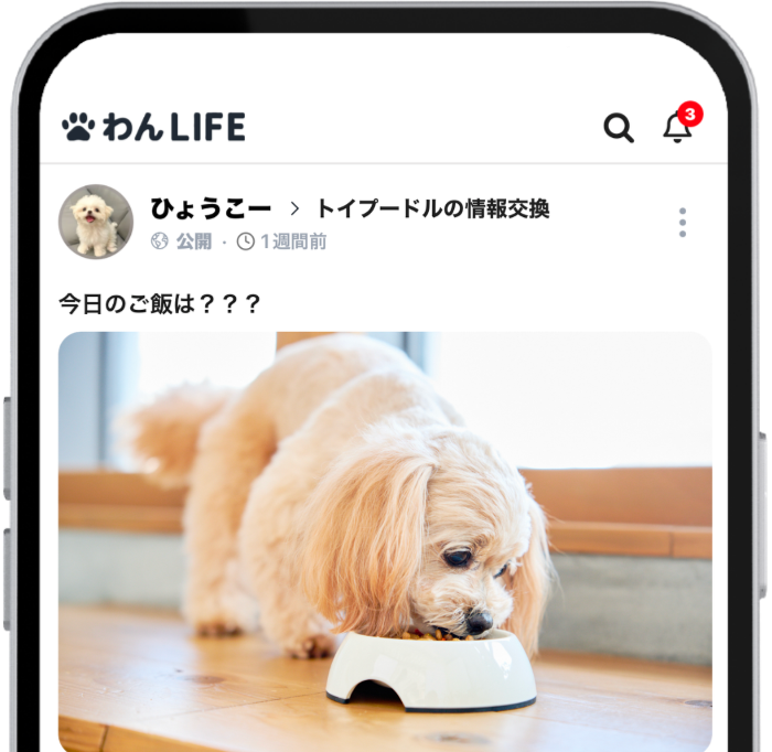 SNSとの連携で認知度・来店数アップ